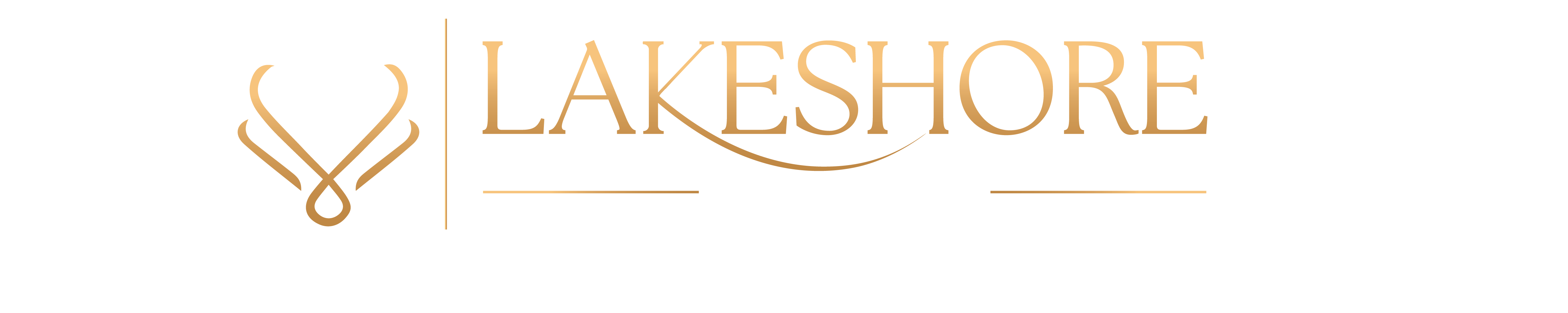 lakeshore logo-01